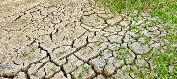 Proglašena prirodna nepogoda zbog suše na području još jednog grada