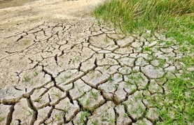 Proglašena prirodna nepogoda zbog suše na području još jednog grada