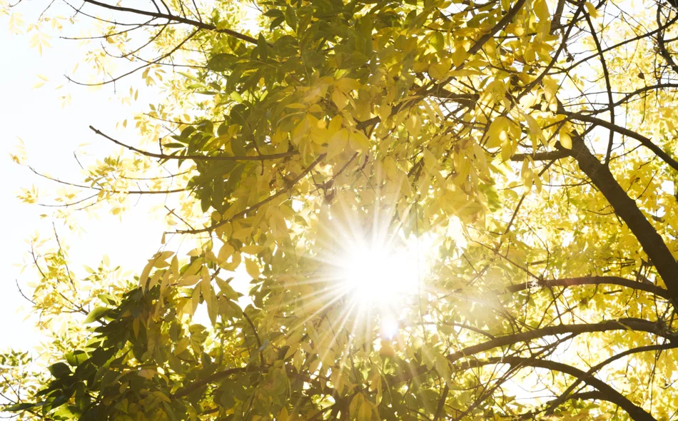 Vikend pred nama u znaku kasnoljetnih temperatura