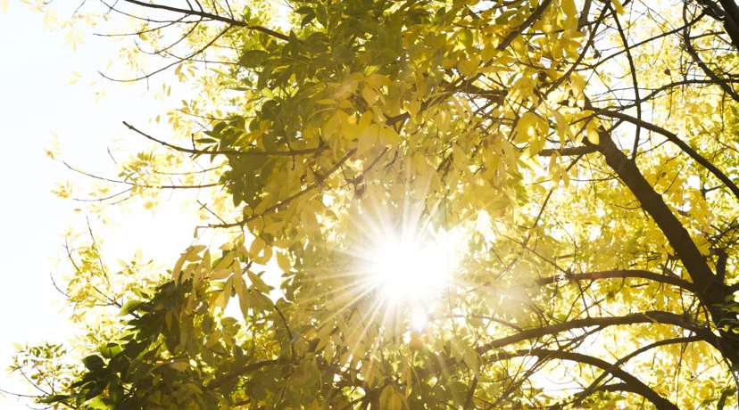 Vikend pred nama u znaku kasnoljetnih temperatura