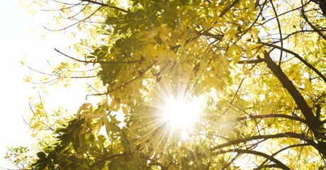 Za vikend uživajte u toplom i sunčanom vremenu