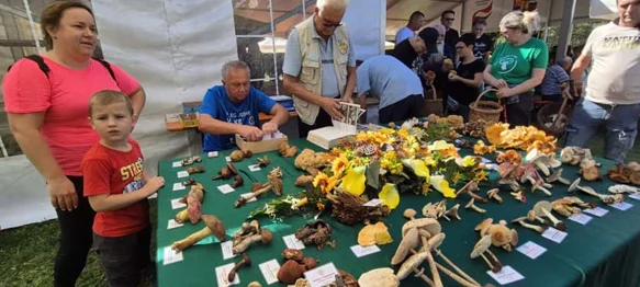 Vrganji, tartufi i domaći proizvodi obilježili vikend u Paki