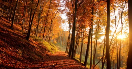 Pred nama je sunčani vikend, temperature se penju do 15 stupnjeva