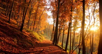 Čeka nas promjenjivi vikend uz puno sunca i vjetra, ali i kišnih razdoblja