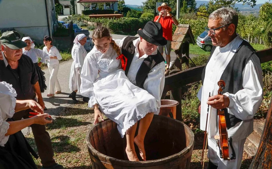 Skrajski pajdaši oživjeli staru tradiciju berbe grožđa