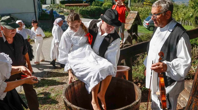 Skrajski pajdaši oživjeli staru tradiciju berbe grožđa