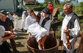 Skrajski pajdaši oživjeli staru tradiciju berbe grožđa