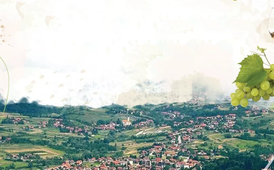 Pridružite se manifestaciji Vinska cesta Kališće–Cicelj