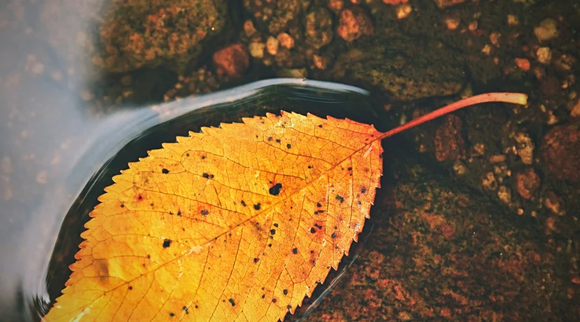 Oblaci i svježina obilježit će kraj rujna