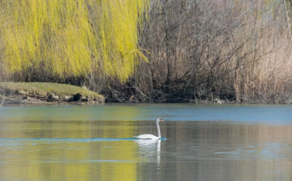 Drava je puno više od rijeke – ona je simbol života, zajedništva i povezanosti