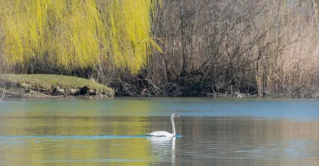 Drava je puno više od rijeke &ndash; ona je simbol života, zajedništva i povezanosti