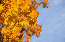 Uživajte u sunčanom i toplom vikendu