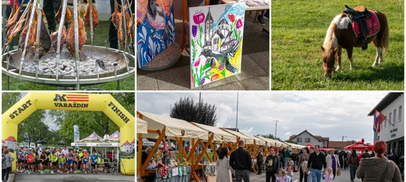 FOTO: Rukotvorine, poniji, nogometna pobjeda i još mnogo toga