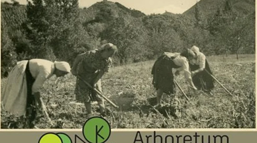 Otvorenje izložbe na temu „ženskog mjesta” i „ženskih poslova”