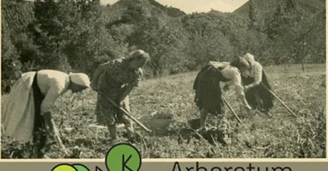 Otvorenje izložbe na temu „ženskog mjesta” i „ženskih poslova”