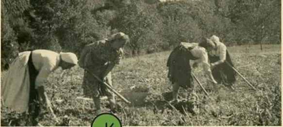 Otvorenje izložbe na temu „ženskog mjesta” i „ženskih poslova”