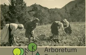 Otvorenje izložbe na temu „ženskog mjesta” i „ženskih poslova”