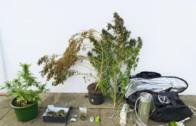 Zapljenjene stvari u domu 45-godišnjaka 