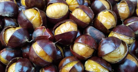 Ne propustite kuhano vino, štrukle i kestene uz logorsku vatru u Velikoj grabi