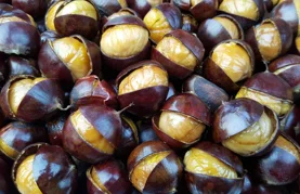 Ideja za pravi jesenski vikend – ne propustite Kestenijadu i 16. Jalžabetsku smotra mošta