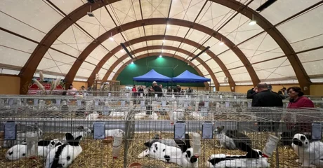 Varaždin ponosan domaćin - Održana državna i međunarodna izložba malih životinja