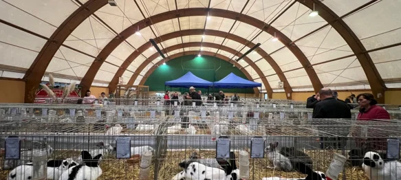 Varaždin ponosan domaćin - Održana državna i međunarodna izložba malih životinja