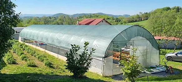 Varaždinske Toplice sufinancirat će plasteničku proizvodnju u 2025. godini