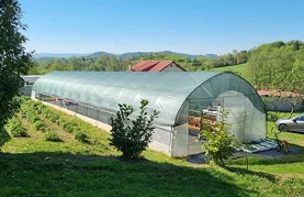 Varaždinske Toplice sufinancirat će plasteničku proizvodnju u 2025. godini