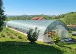 Varaždinske Toplice sufinancirat će plasteničku proizvodnju u 2025. godini