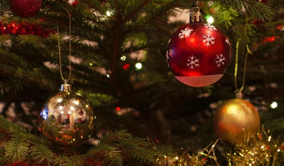 Pijani trojac ukrao božićnu jelku i trgao kante za smeće