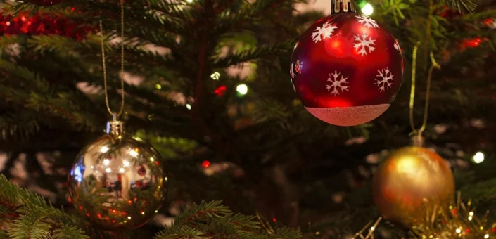 Pijani trojac ukrao božićnu jelku i trgao kante za smeće