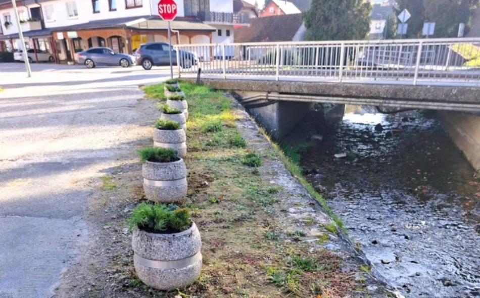 Jesenska sadnja u Ivancu – lovor višnja kod Pesek parka, žardinjere u Radićevoj
