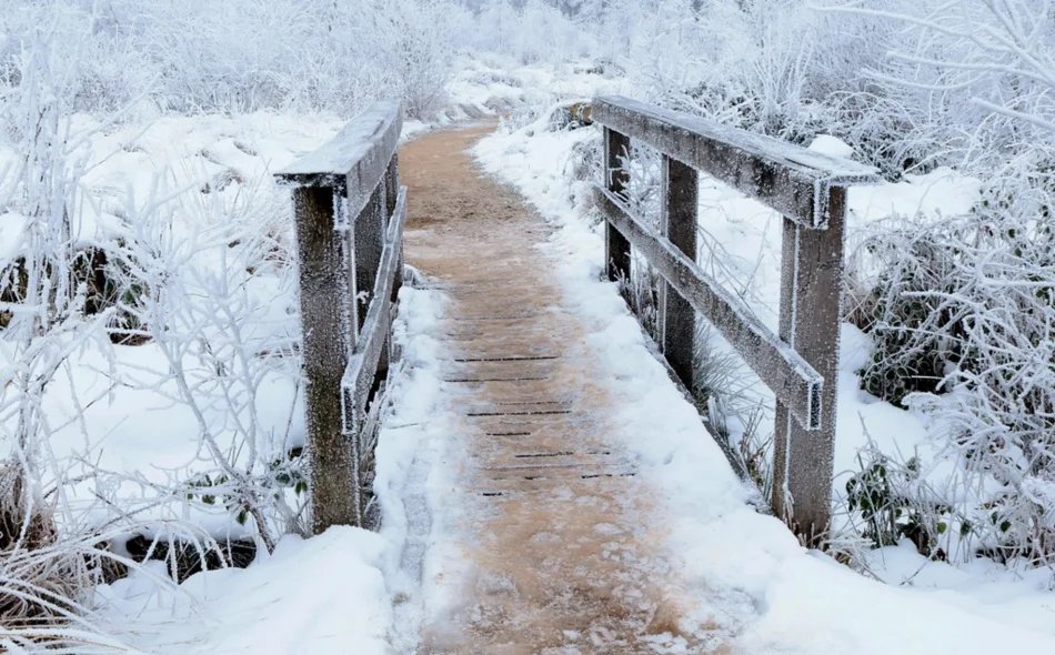 Idućeg tjedna nad Europu se spušta hladniji zrak - nosi nam i snježne pahulje?