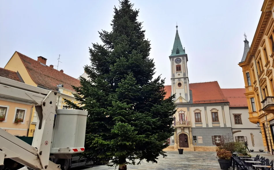 Na Korzu postavljen bor - još je ostalo dva tjedna do prave blagdanske euforije!