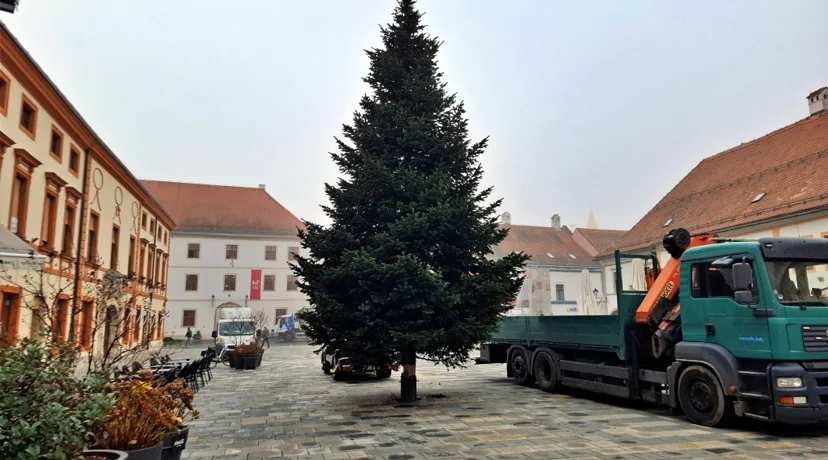 Na Korzu postavljen bor - još je ostalo dva tjedna do prave blagdanske euforije!