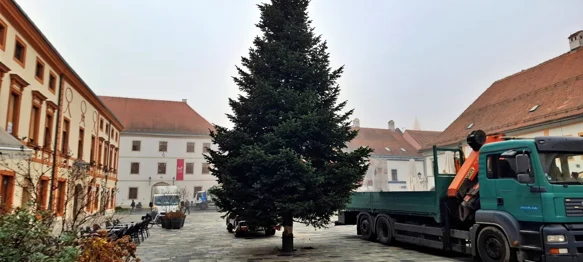 Na Korzu postavljen bor - još je ostalo dva tjedna do prave blagdanske euforije!
