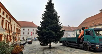 Na Korzu postavljen bor - još je ostalo dva tjedna do prave blagdanske euforije!
