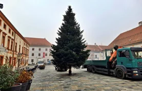 Na Korzu postavljen bor - još je ostalo dva tjedna do prave blagdanske euforije!