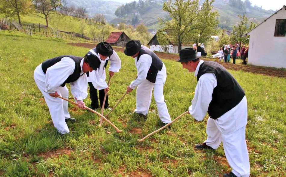 Ušli u povijest okitivši bor s 2000 jabuka na ivanečkoj špici
