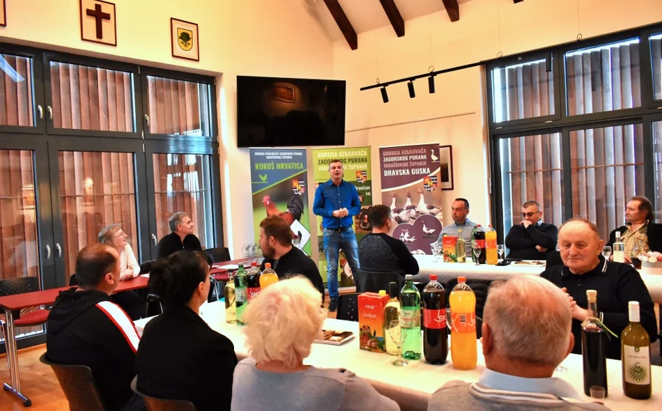 U planu zaštita autohtone Dravske guske kojoj prijeti nestanak