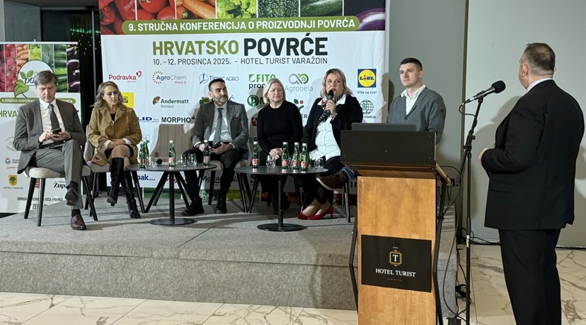 AUDIO I FOTO „Povrćarstvo traži ruke, koljena i kičmu, ali postoje proizvođači koji ne odustaju!”