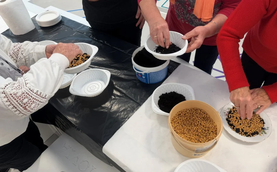 U Muzeju grada Ludbrega muzealci uz pomoć Žena iz Centra svijeta sijali pšenicu