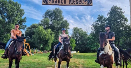 FOTO Krava Dotty, bik Thor, tele Mila i ostala četveronožna družina zvijezde su turističke atrakcije nadomak Ludbrega