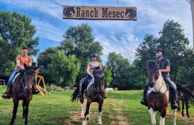 FOTO Krava Dotty, bik Thor, tele Mila i ostala četveronožna družina zvijezde su turističke atrakcije nadomak Ludbrega