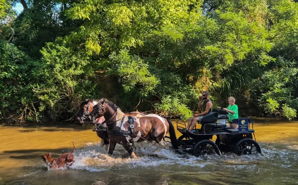 FOTO Krava Dotty, bik Thor, tele Mila i ostala četveronožna družina zvijezde su turističke atrakcije nadomak Ludbrega