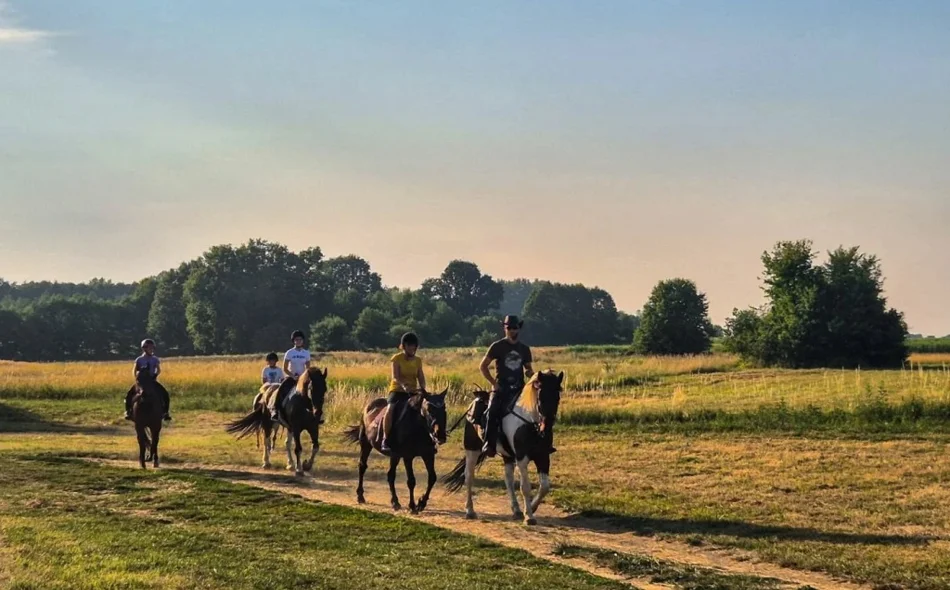 FOTO Krava Dotty, bik Thor, tele Mila i ostala četveronožna družina zvijezde su turističke atrakcije nadomak Ludbrega