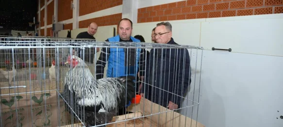 Brojni posjetitelji uživali u izložbi s više od 500 malih životinja u Ivancu