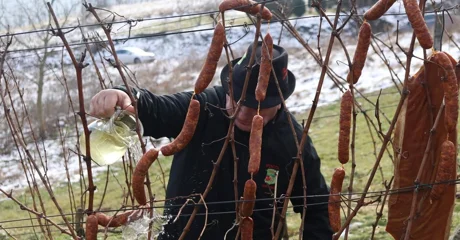 Proslava Sv. Vinka na Vinica Bregu