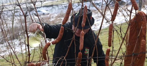 Proslava Sv. Vinka na Vinica Bregu