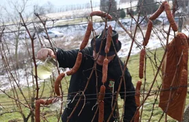 Proslava Sv. Vinka na Vinica Bregu